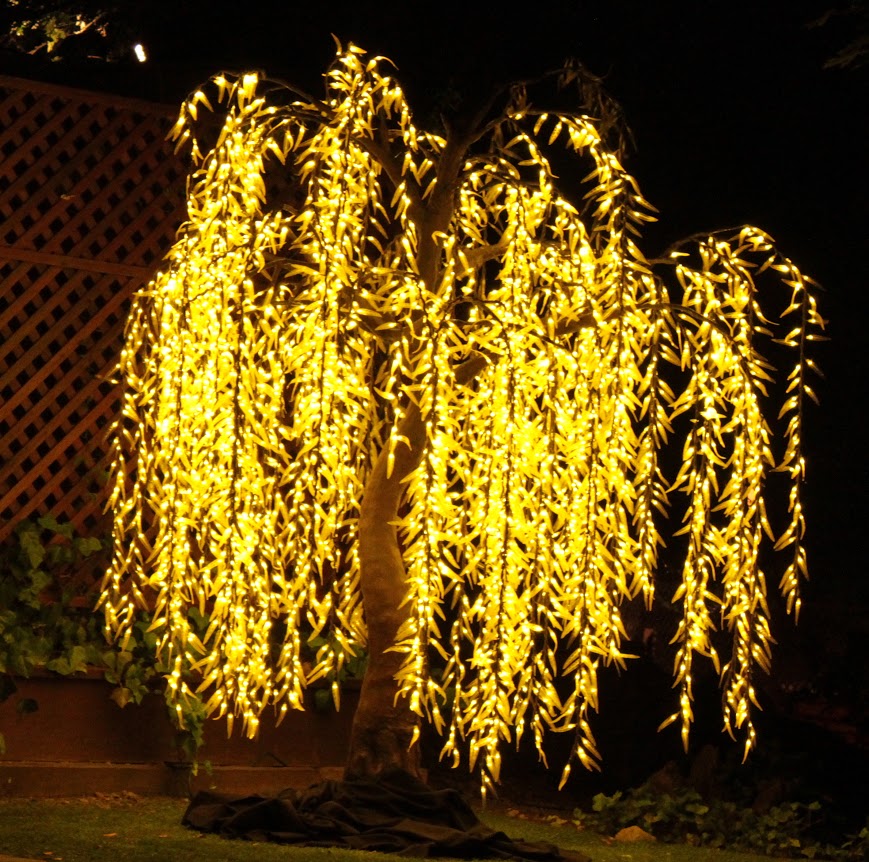 Weddings Bay Area Event Lights