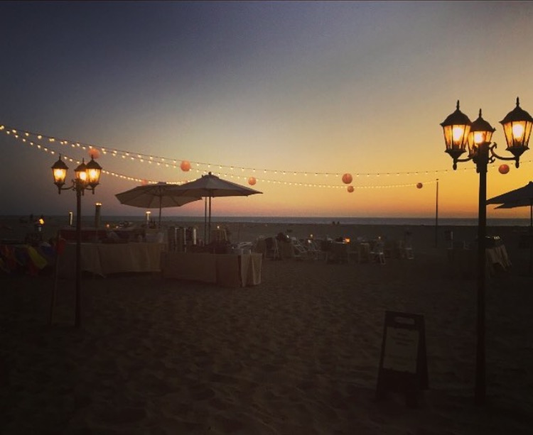 Weddings Bay Area Event Lights