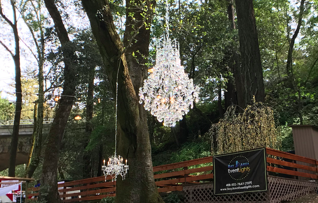 Weddings Bay Area Event Lights