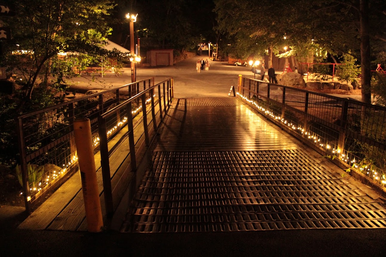 longbridge bridge Bay Area Event Lights