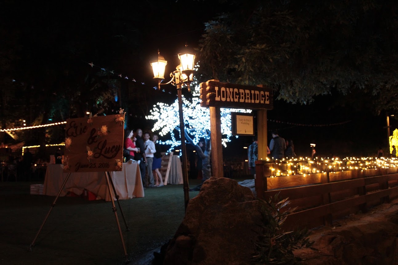 longbridge Bay Area Event Lights