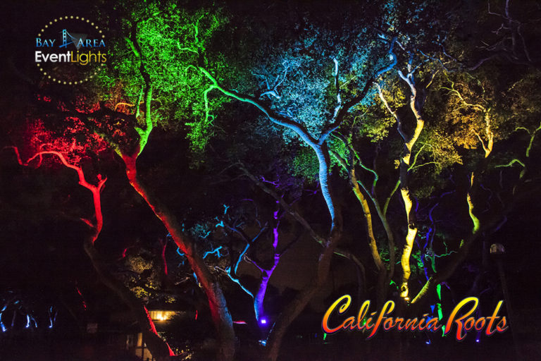 Home Bay Area Event Lights