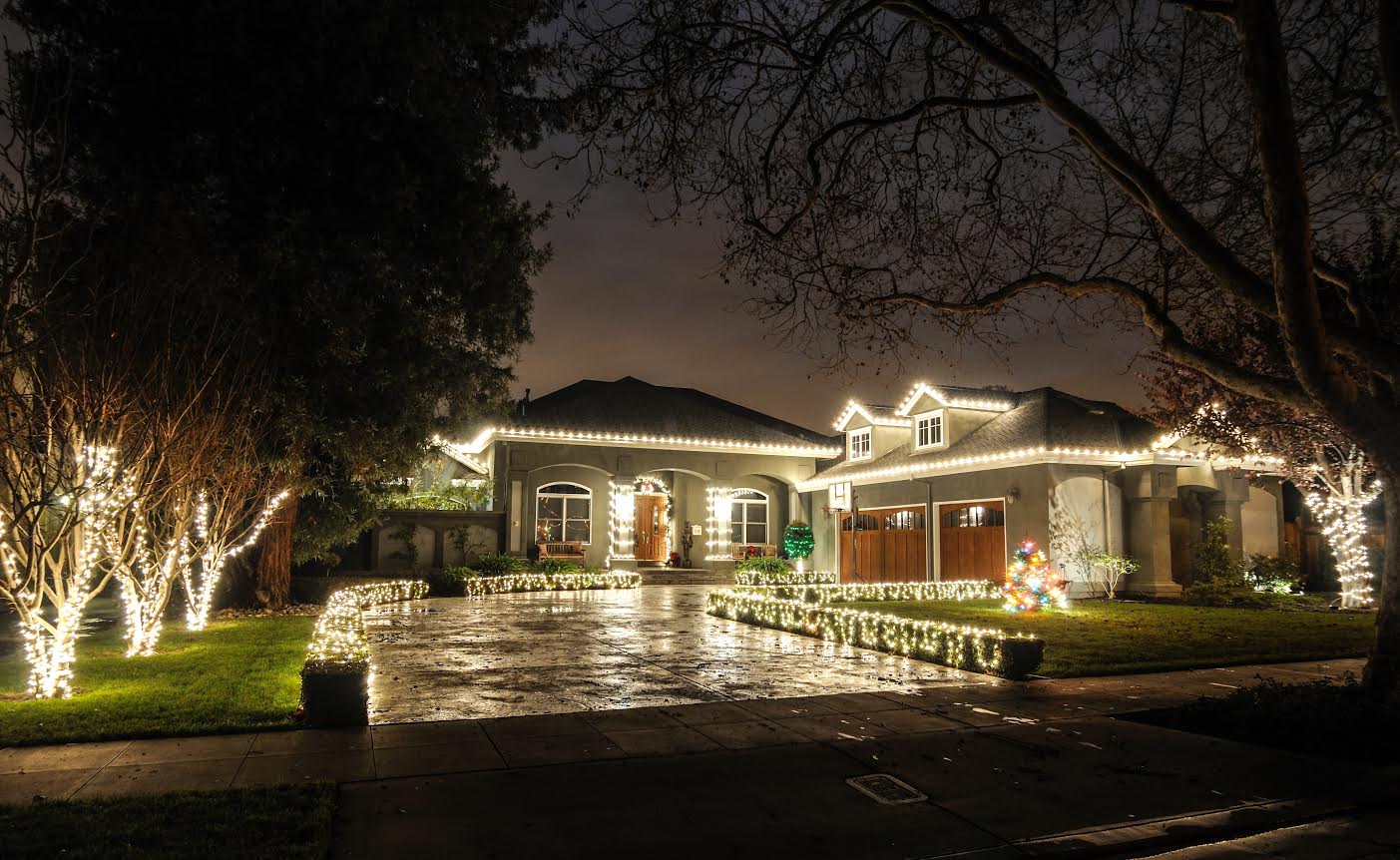 Holidays Bay Area Event Lights